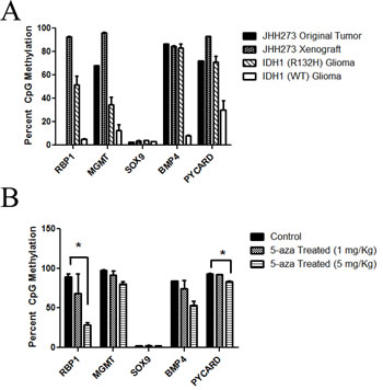 JHH-273 shows characteristic DNA hypermethylation which can be reversed with 5-azacytidine treatment