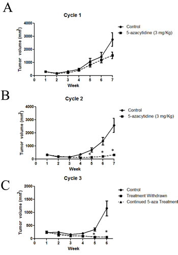 Long term treatment with 5-azacytidine reduces tumor growth in an IDH1 mutant model.