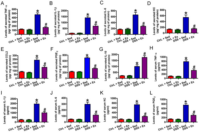 Swimming inhibits the production of inflammatory mediators in rats with DSS-induced colitis.
