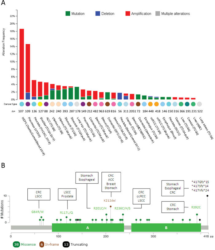 Mutational landscape of PTOV1 across human cancer.