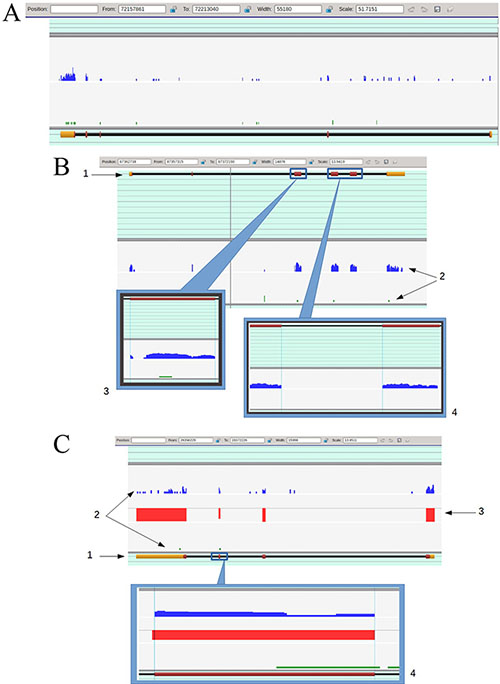 Figure 2: