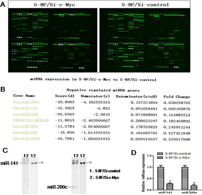 MicroRNA profile changes due to c-Myc inhibition in 5-8F NPC cells.