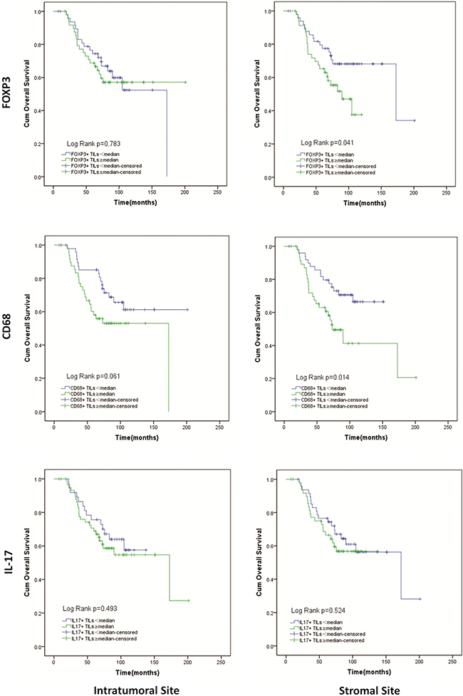 Kaplan-Meier curves of overall survival according to infiltration of FOXP3+ Tregs, CD68+ M&#x03C6;, IL-17+ Th17 in intratumoral and stromal sites.