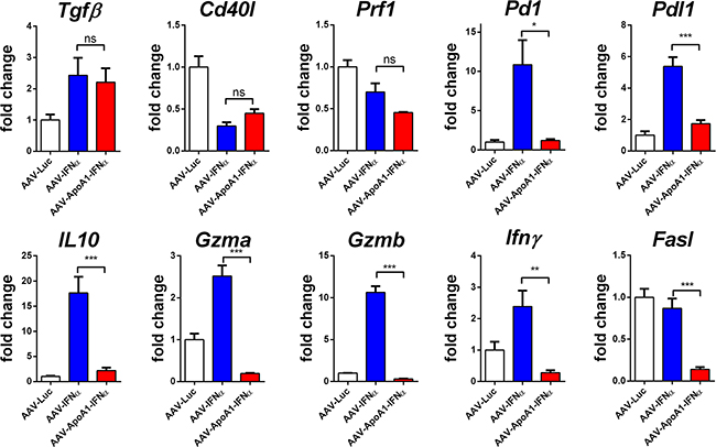 Differences in gene expression induced by AAV-IFN&#x03B1; and AAV-ApoA1-IFN&#x03B1; in CD8+ T cells.