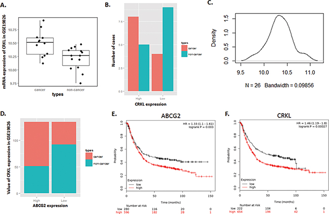 Expression of CRKL in Dataset GSE19826 is positively correlated with ABCG2, and illustrates a high risk of mortality for GC patients with high expression of ABCG2 and CRKL.