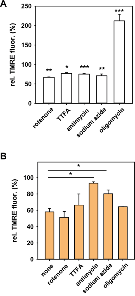 Effect of respiratory chain complexes inhibition on the mitochondrial membrane potential in N18TG2 cells