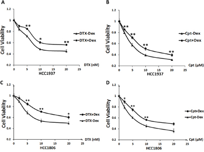 Dex induces chemotherapeutic resistance in the HCC1937and HCC1806triple-negative breast cancer cell lines.