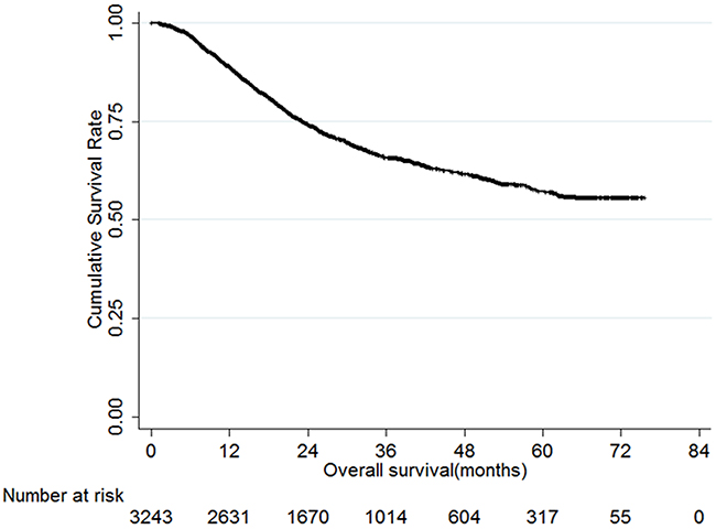 Overall survival of gastric cancer patients.