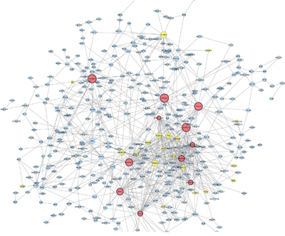 Protein Protein interaction network among down&#x2013;regulated genes detected in co-cultured keratinocytes and melanocytes from individuals harbouring Red hair color MC1R variants (GSE44805 dataset).