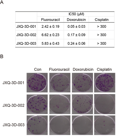 The sensitivities of three GSC PDCs to chemotherapy drugs for tumor of biliary tract.