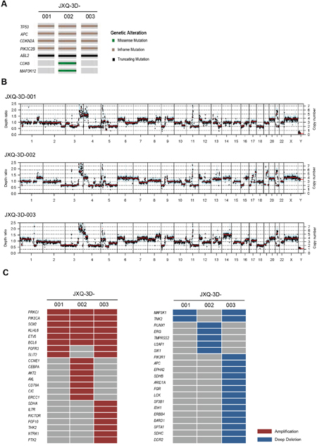 The mutation and CNV landscape of three GSC PDCs detected by whole exome sequencing.
