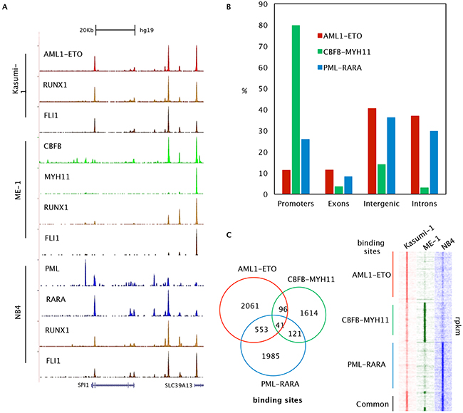 Genome-wide binding features of oncofusion proteins.