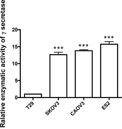 The relative enzymatic activity of &#x03B3;-secretase in SKOV3, CAOV3, ES2 and T29 cell lines.