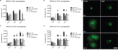 Effects of STAT3 inhibition in BTICs and TCs on OBSCs.