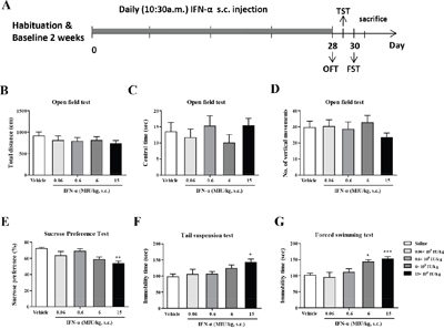 Identification of the interferon (IFN)-&#x03B1; dosage required to establish a model of IFN-&#x03B1;-induced depression in mice.