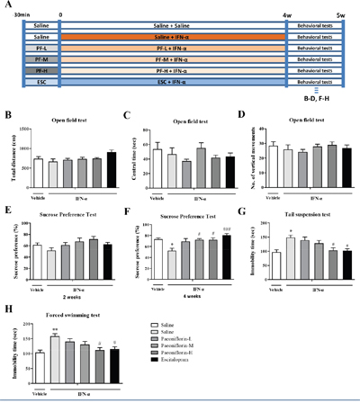 Paeoniflorin reversed interferon (IFN)-&#x03B1;-induced depressive-like behaviors in vivo.