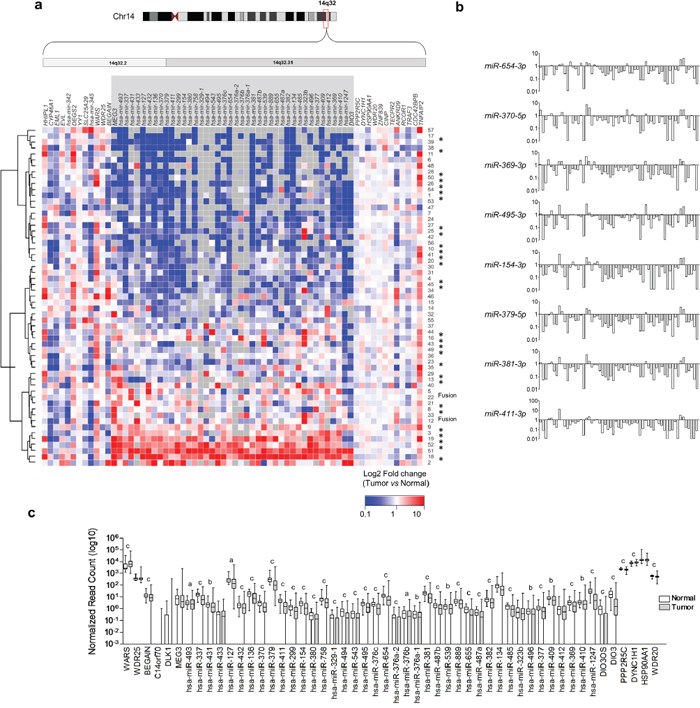 Global downregulation of miRNAs from 14q32-encoded genes in PTC.