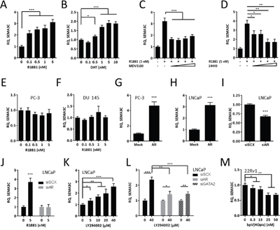 SEMA3C is an androgen receptor-regulated gene.