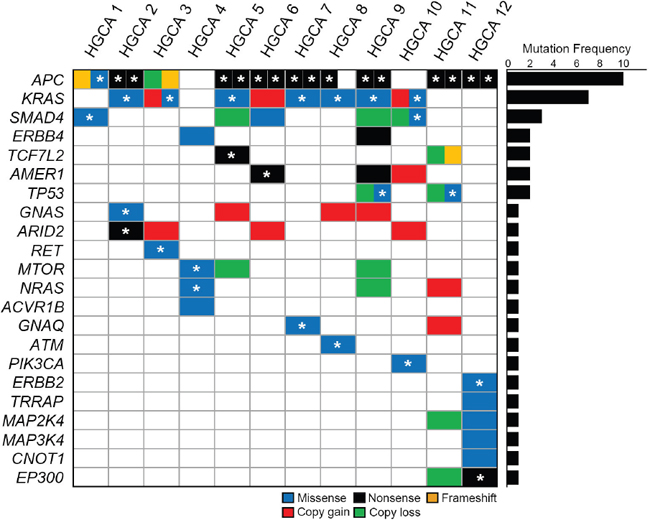 Somatic mutations and copy number alterations of tumor-related genes in high-grade colon adenomas.