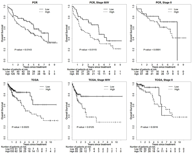 Kaplan-Meier survival analysis examining the association between let-7g expression in colorectal tumors with overall survival based on Stony Brook University patient cohort and TCGA colorectal cancer patient cohort.