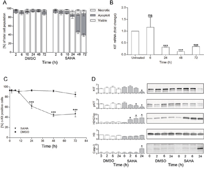 SAHA induces mast cell apoptosis, down-regulation of KIT and increase in H3K27ac.