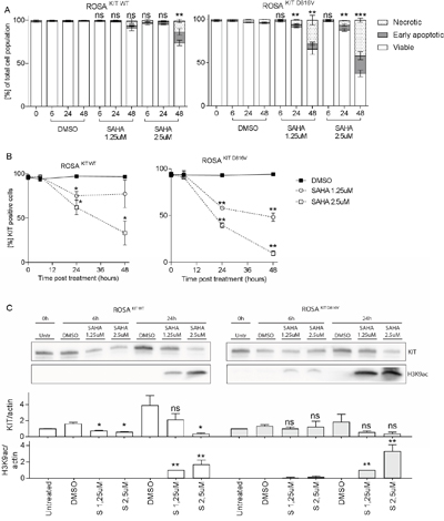 SAHA effects on ROSA KIT WT and ROSA KIT D816V cells.