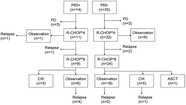 Summary of the treatments and responses.