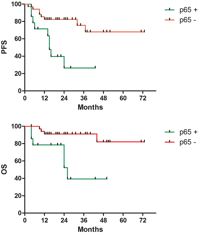 Survival according to p65 protein expression.