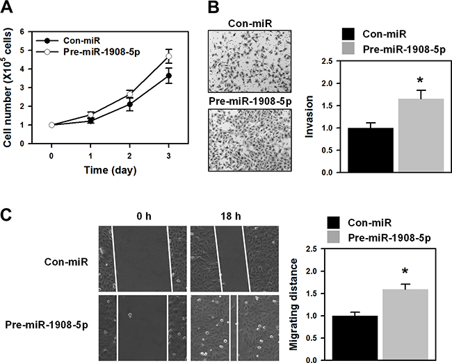 miR-1908-5p increased proliferation and metastatic potential.