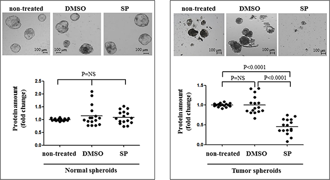 SP inhibits cell proliferation in multicellular tumor spheroids.
