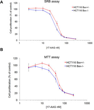 BAX knockout does not affect sensitivity to 17-AAG in HCT116 human colon cancer cells as measured by SRB or MTT assays.