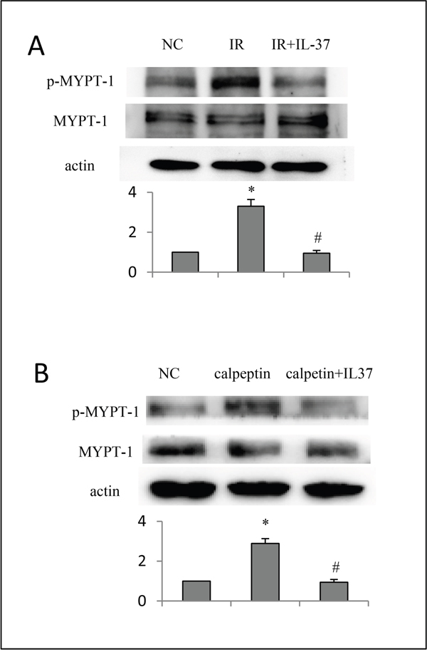 Figure 5: