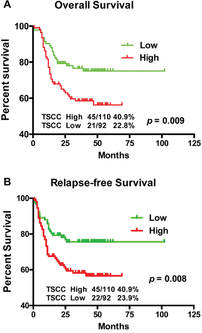 Kaplan-Meier survival curves in TSCC patients according to LINC00673 expression levels.