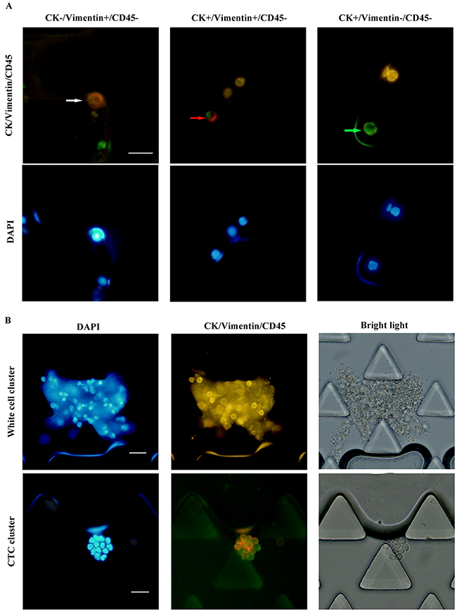 Figure 5: