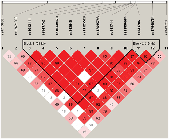 D&#x2019; linkage map for the 13 SNPs in ACYP2.