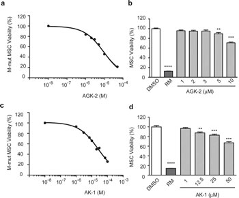 SIRT2 Inhibition With AGK2 and AK1 Selectively Decreases Merlin-Mutant MSC Viability.