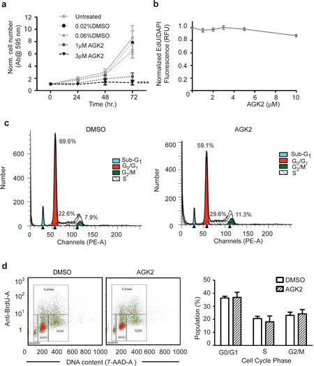 AGK2 Decreases Merlin-Mutant MSC Proliferation Without Interfering With Cell Cycle Progression.