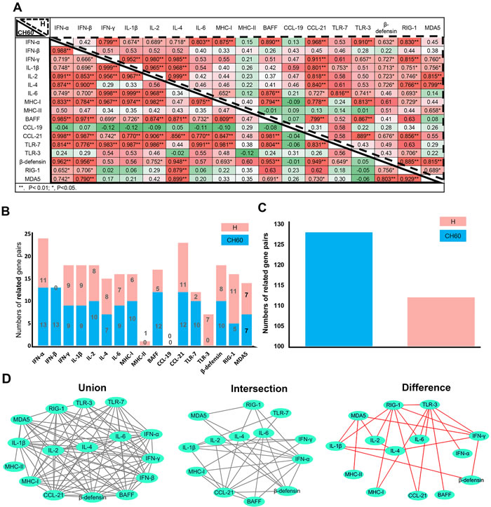 Immune networks induced by the DHAV-1 H strain and CH60 strain (