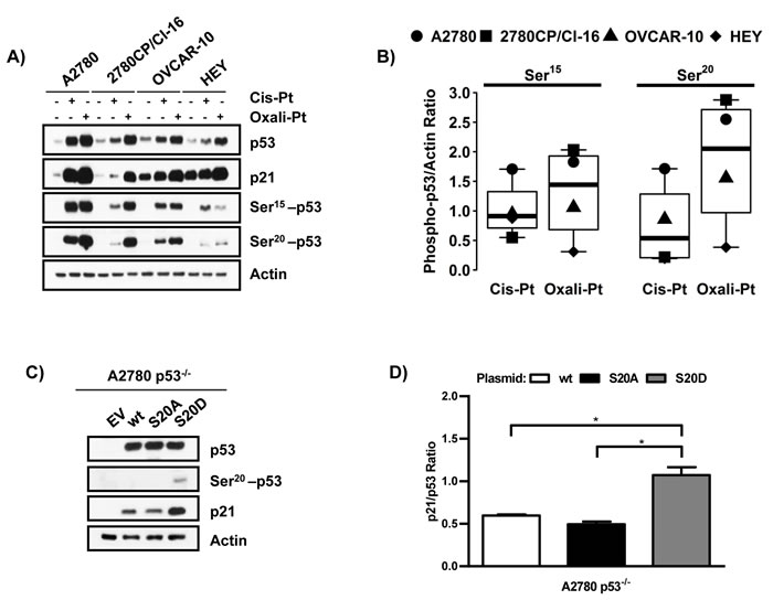 Figure 3: