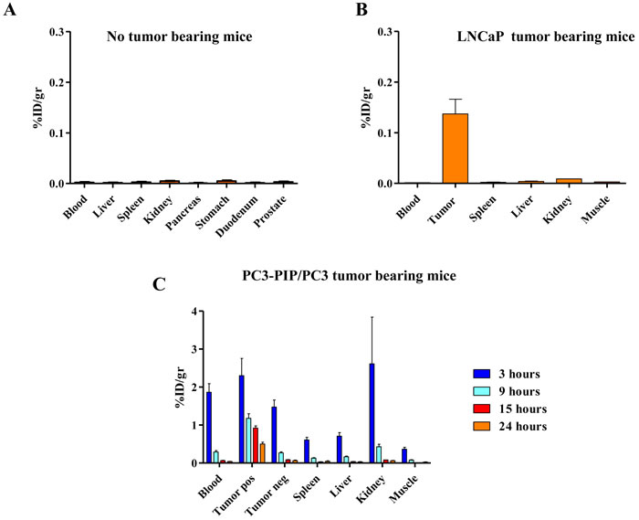 Biodistribution and localization after intravenous administration of