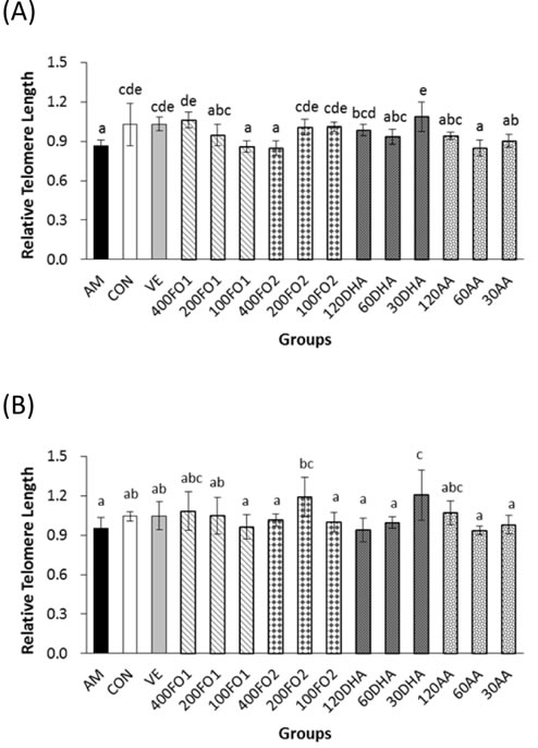 n-3 rather than n-6 PUFA inhibit excessive telomere length loss in