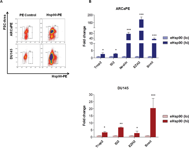 Increased stem marker expression in tumor cells with elevated surface-bound Hsp90.