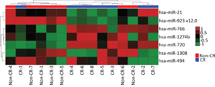 The hierarchical clustering image of 7 differentially expressed miRNAs (p&#x2264;0.001) in HNSCC when comparing groups of Complete Response (CR) versus Partial Response &#x002B; Stable Disease &#x002B; Tumor Progression (Non-CR).