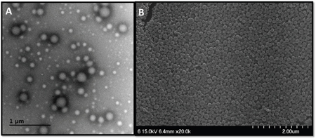 Figure 1: