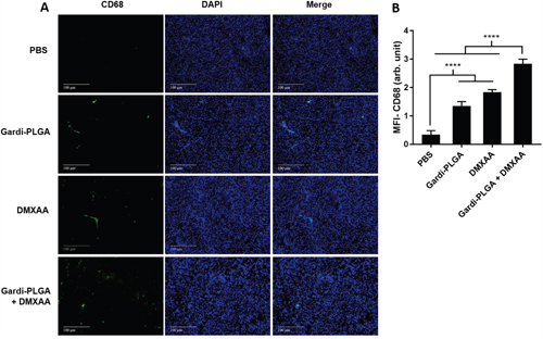 Figure 6: