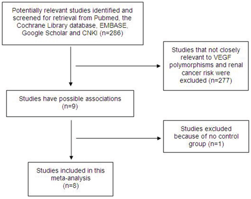 Flow diagram of the study selection.
