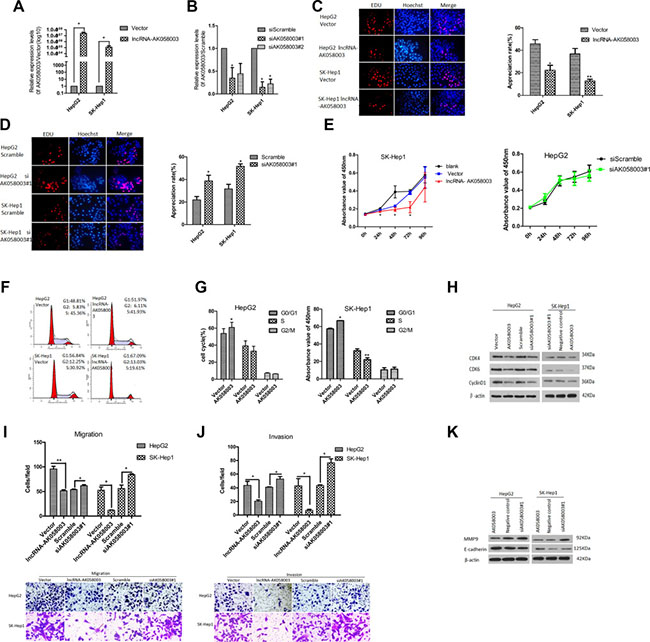 LncRNA-AK058003