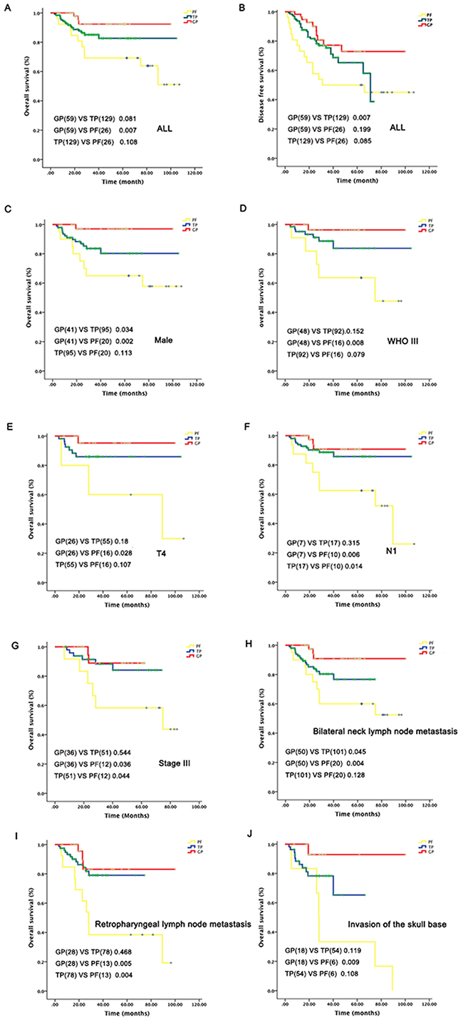 Subgroup analysis of survival outcomes related to different induction chemotherapy regimes.