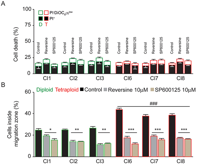 Reversine and SP600125 inhibit cell migration.