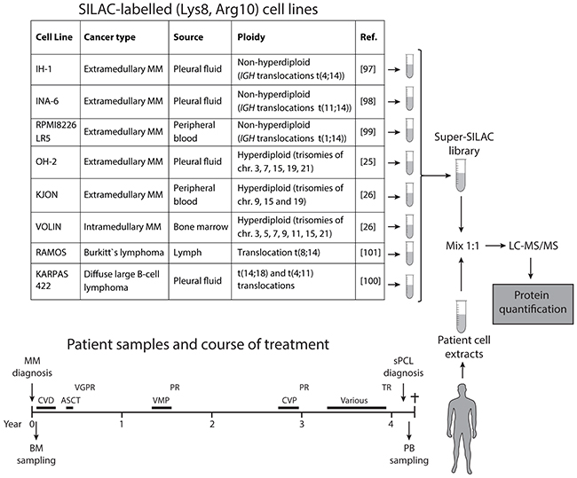 Schematic illustration of the super-SILAC workflow.